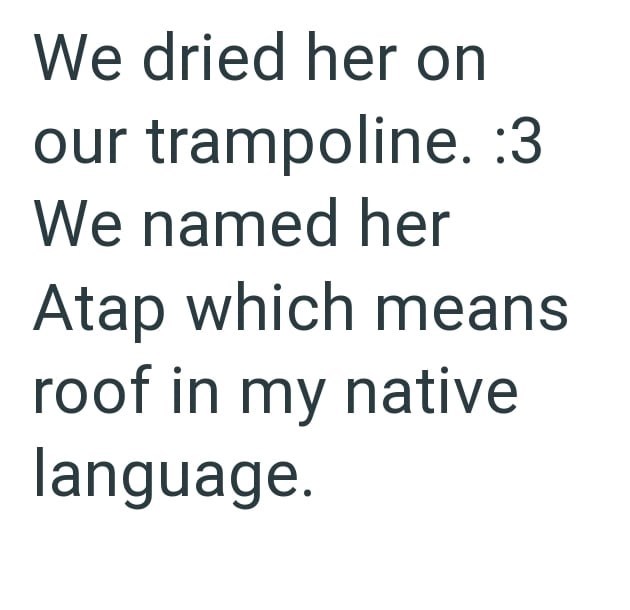 We dried her on our trampoline. :3 We named her Atap which means roof in my native language.