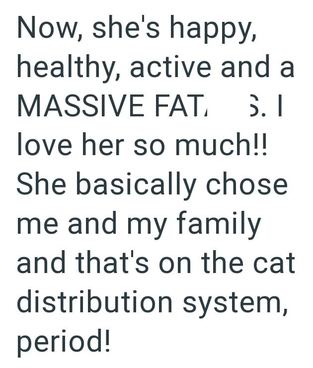 Now, she's happy, healthy, active and a MASSIVE FAT. 6. I love her so much!! She basically chose me and my family and that's on the cat distribution system, period!