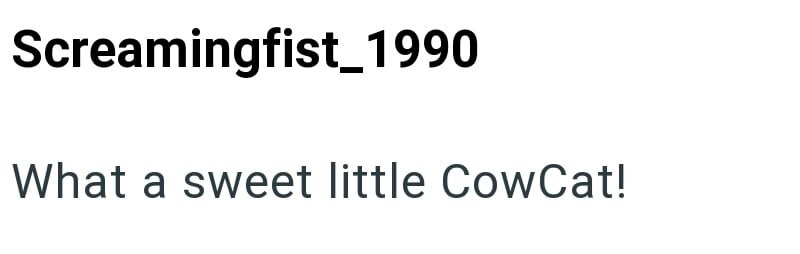 Screamingfist_1990 What a sweet little CowCat!