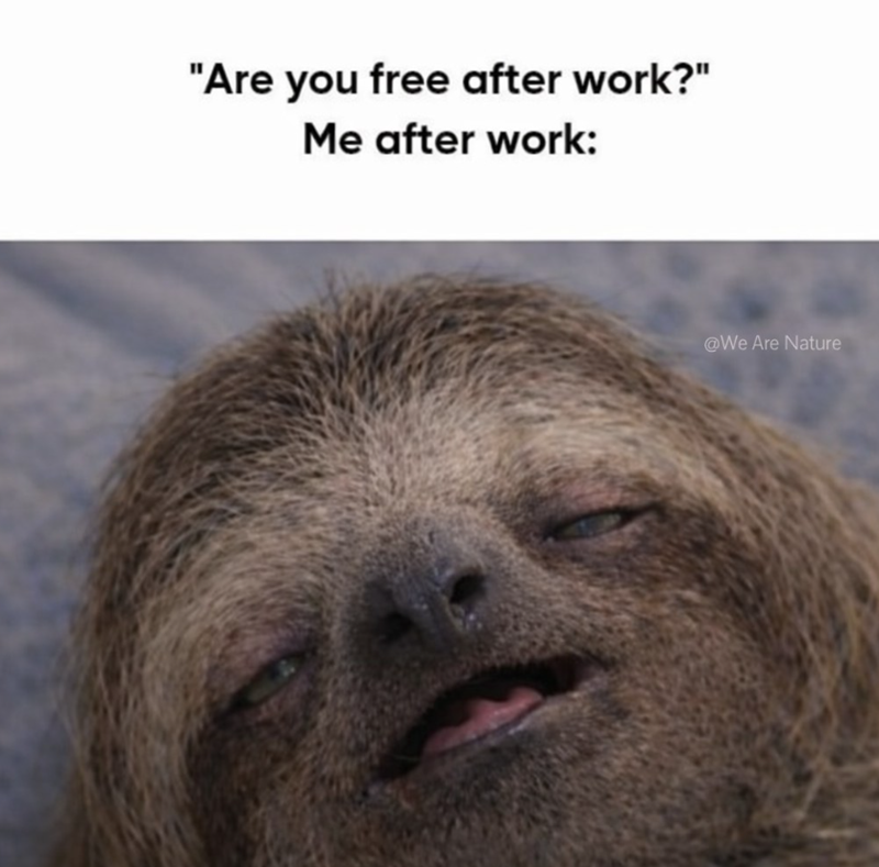 "Are you free after work?" Me after work: @We Are Nature