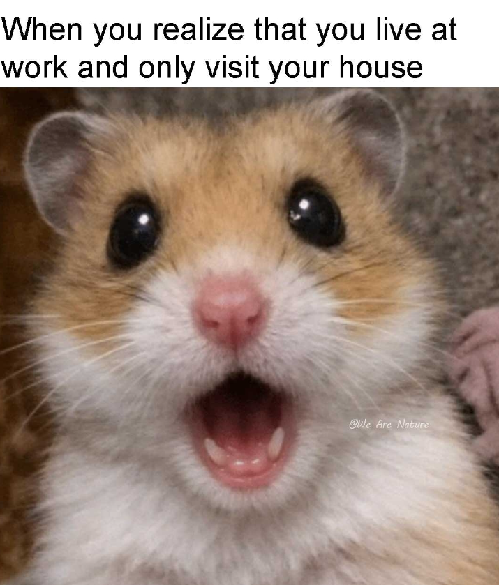 When you realize that you live at work and only visit your house @We Are Nature
