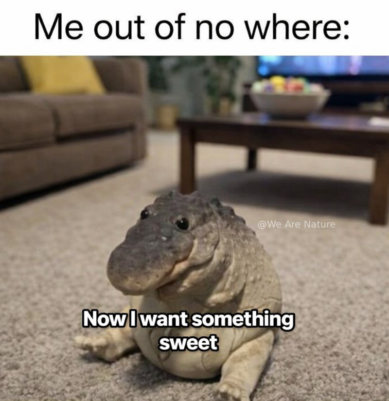 Me out of no where: @We Are Nature Now I want something sweet