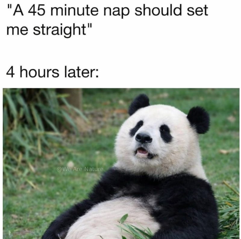 "A 45 minute nap should set me straight" 4 hours later: @We Are Nature