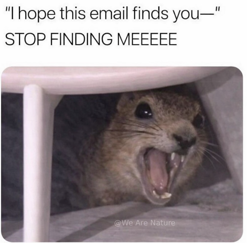 "I hope this email finds you—" STOP FINDING MEEEEE @We Are Nature