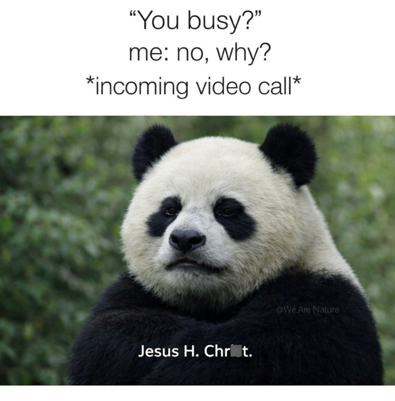 "You busy?" me: no, why? *incoming video call* Jesus H. Chr_t. @We Are Nature