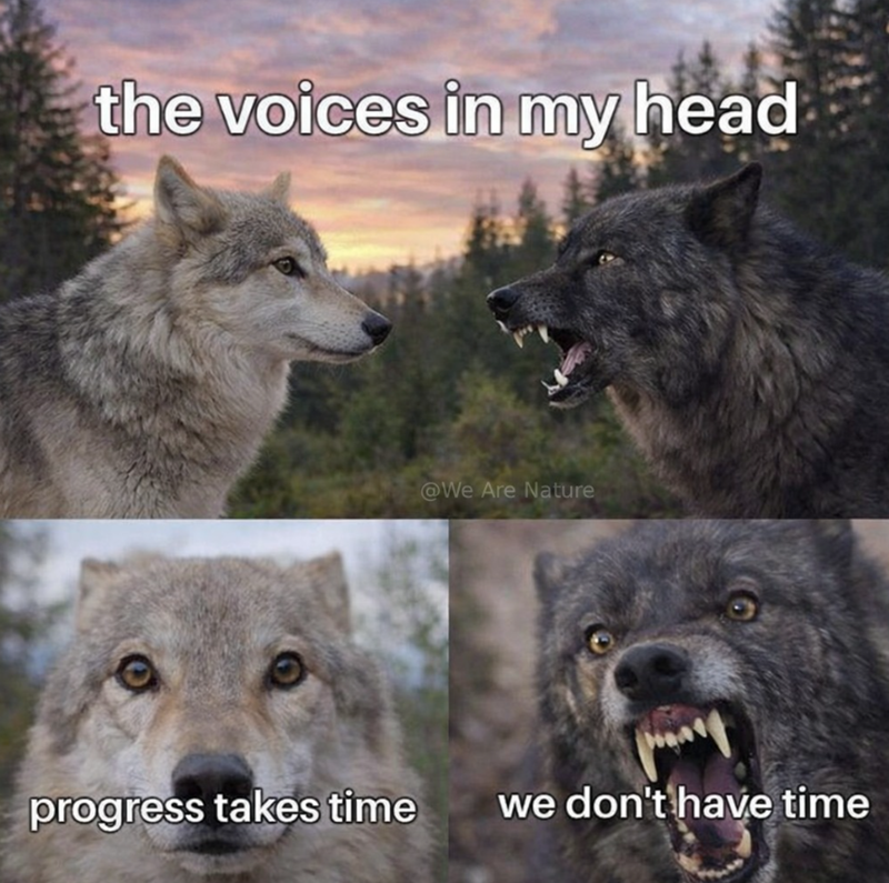 the voices in my head @We Are Nature progress takes time we don't have time