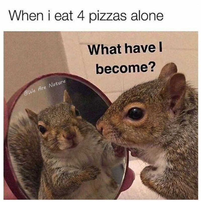 When i eat 4 pizzas alone What have l become? @We Are Nature