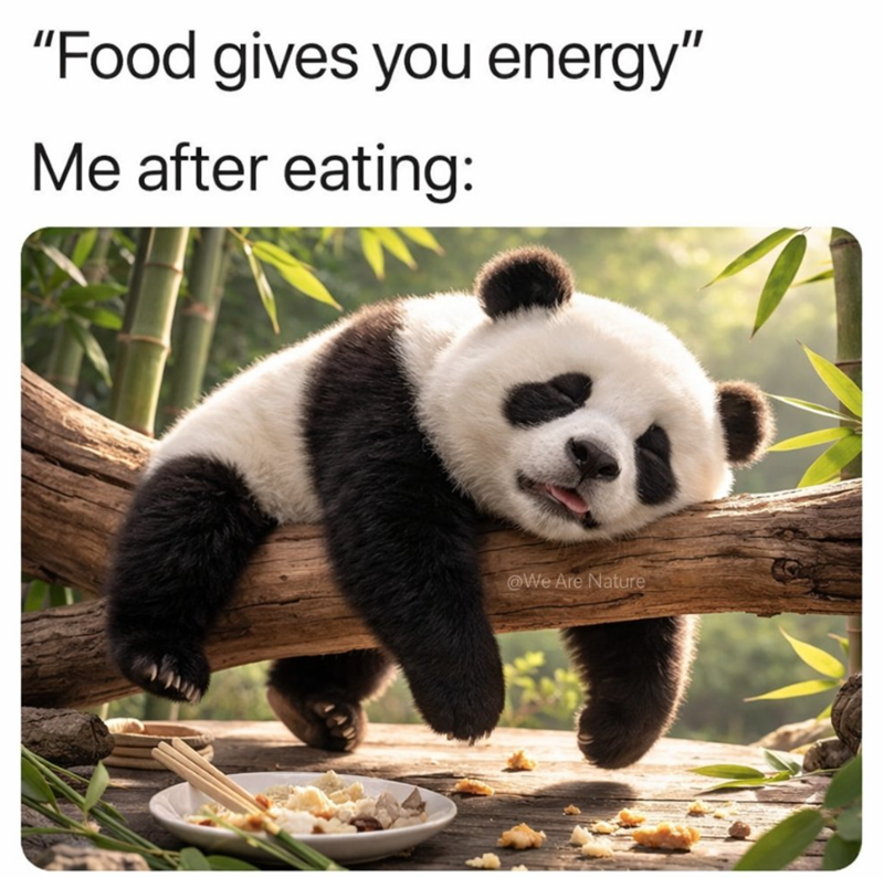 "Food gives you energy" Me after eating: @We Are Nature