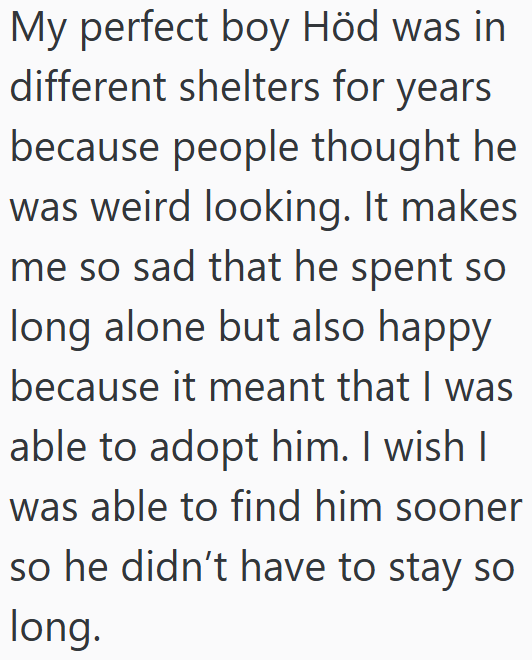 My perfect boy Höd was in different shelters for years because people thought he was weird looking. It makes me so sad that he spent so long alone but also happy because it meant that I was able to adopt him. I wish I was able to find him sooner so he didn't have to stay so long.