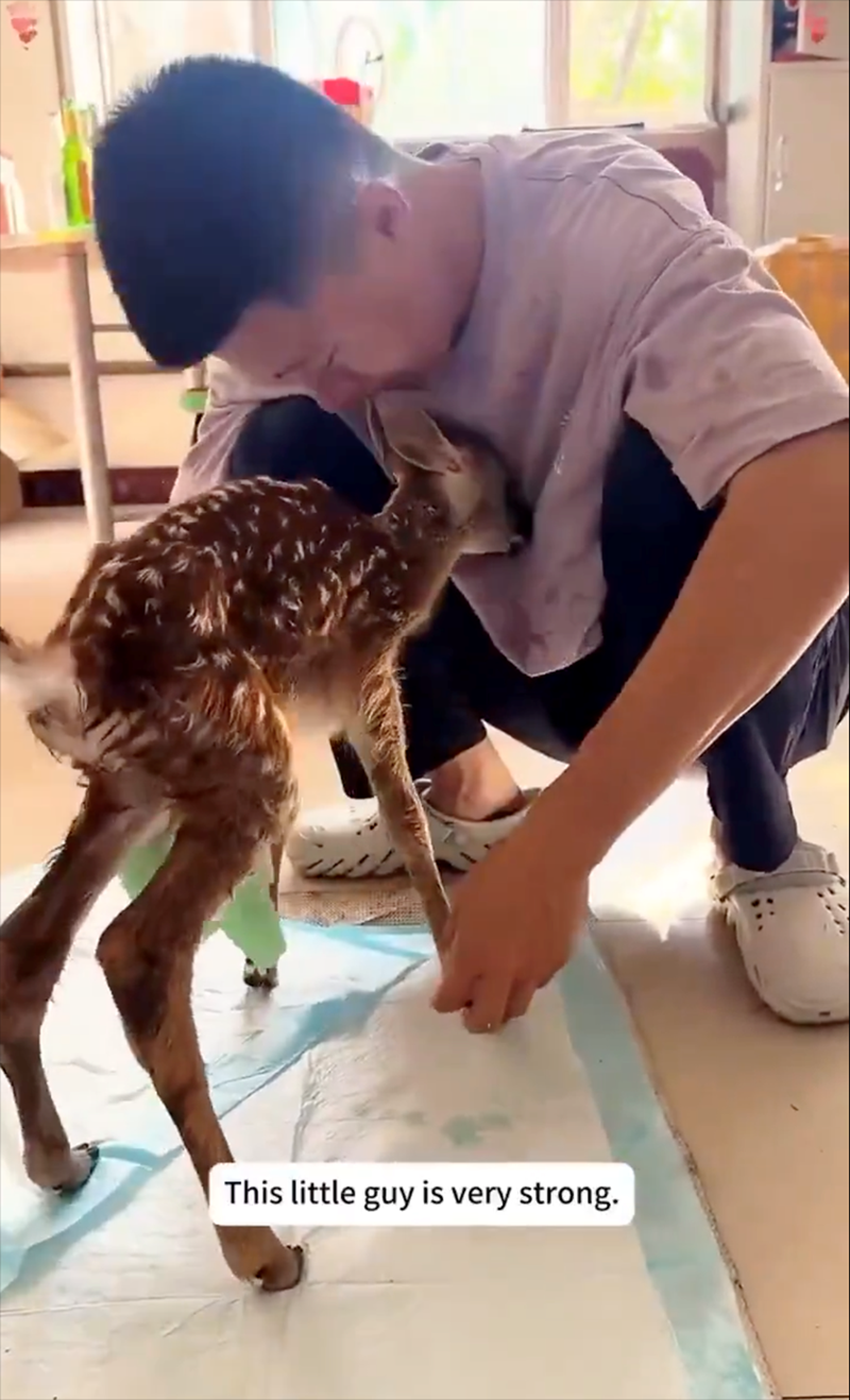 This little guy is very strong.