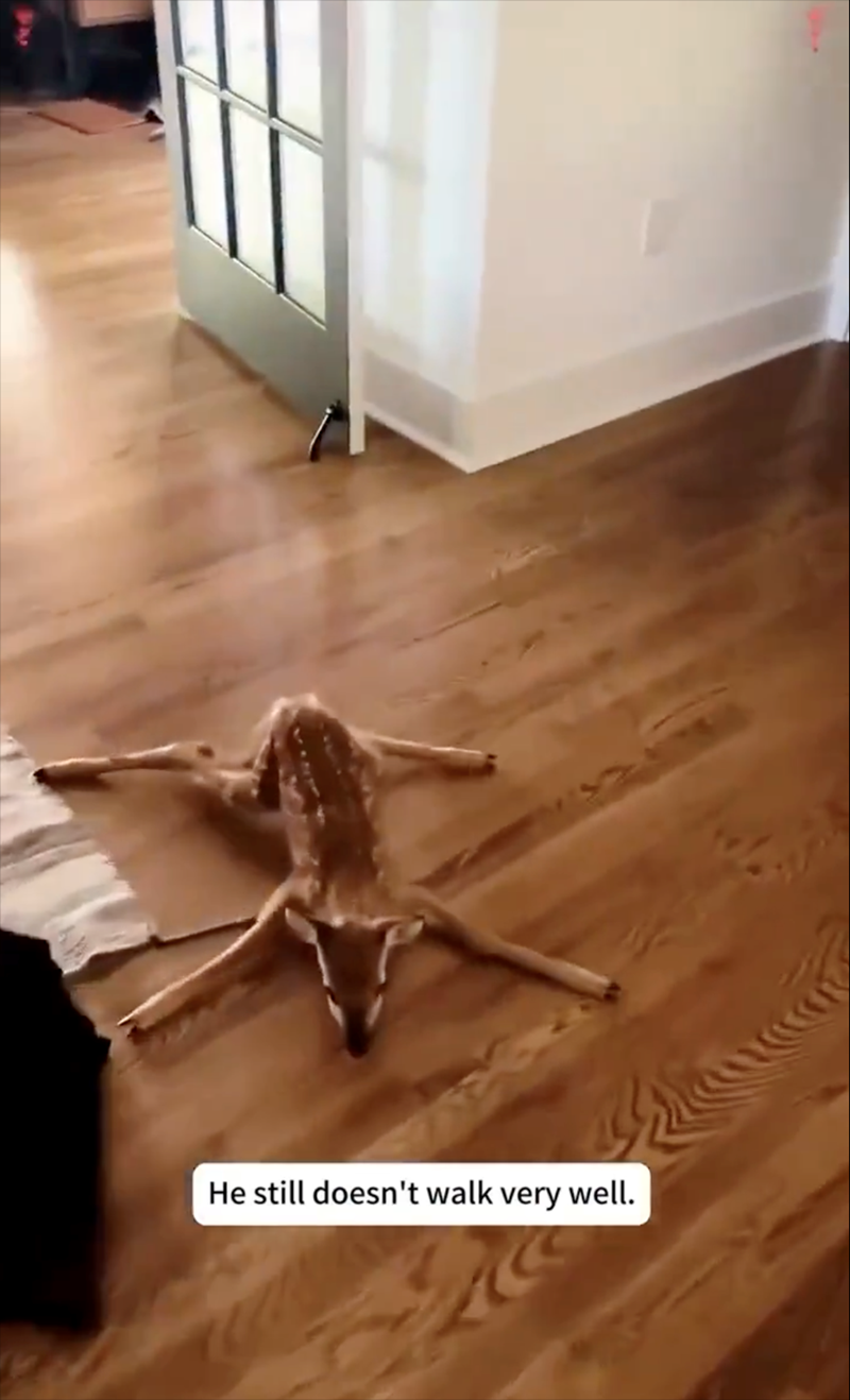 He still doesn't walk very well.