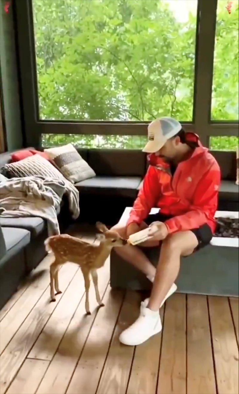 Cheezburger Image 10621498368