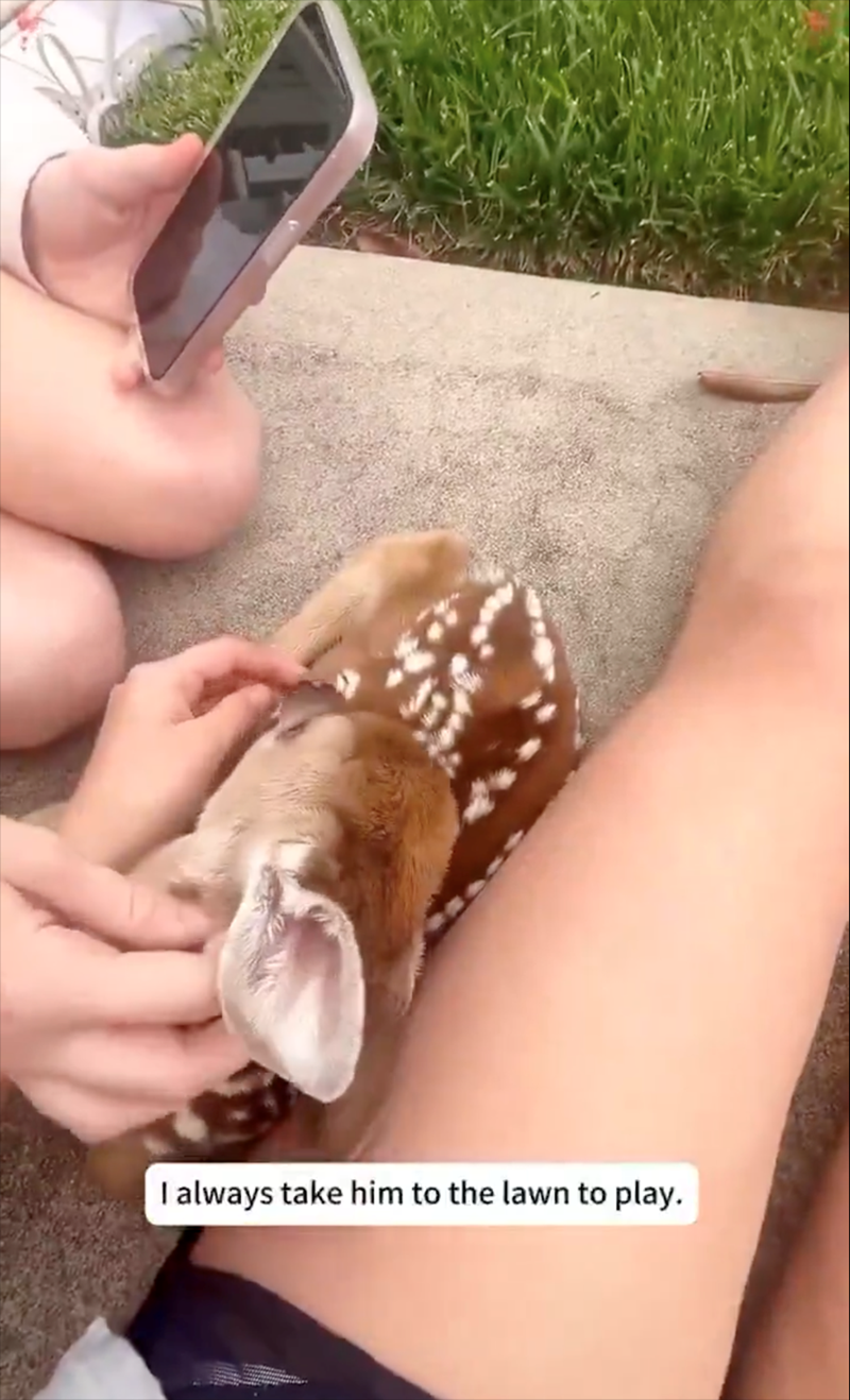 I always take him to the lawn to play.