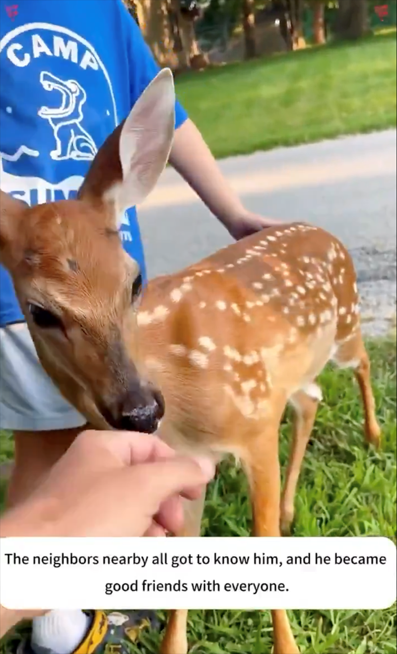 CAMA SU m The neighbors nearby all got to know him, and he became good friends with everyone.
