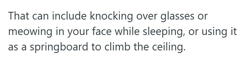 That can include knocking over glasses or meowing in your face while sleeping, or using it as a springboard to climb the ceiling.