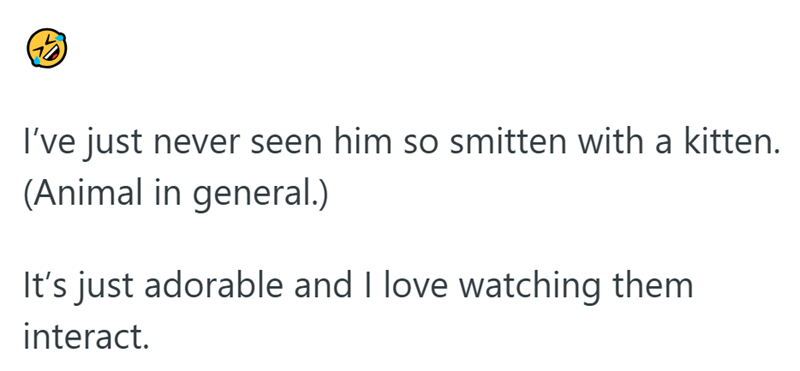 I've just never seen him so smitten with a kitten. (Animal in general.) It's just adorable and I love watching them interact.