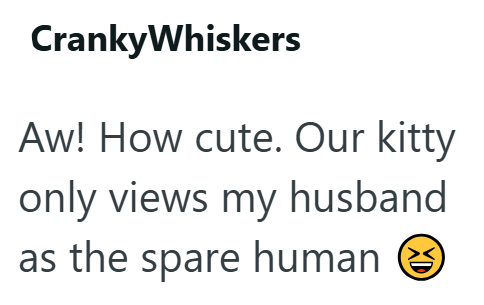CrankyWhiskers Aw! How cute. Our kitty only views my husband as the spare human