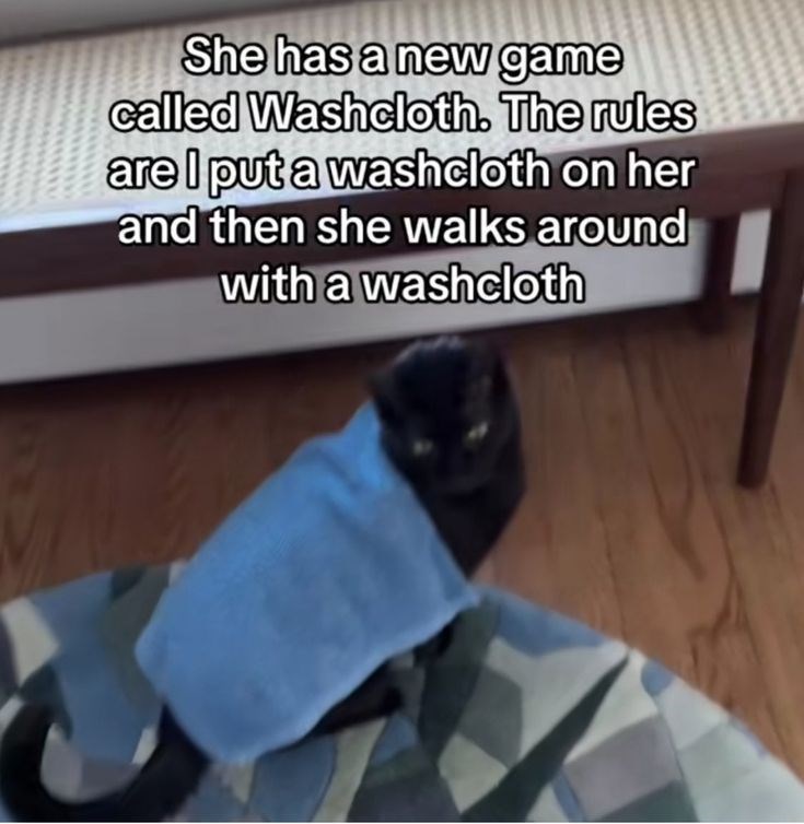 She has a new game called Washcloth. The rules are I put a washcloth on her and then she walks around with a washcloth