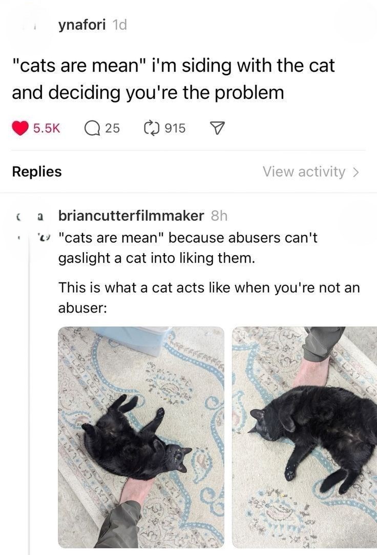 ynafori 1d "cats are mean" i'm siding with the cat and deciding you're the problem 5.5K 25 915 ☑ Replies View activity > ( a briancutterfilmmaker 8h "cats are mean" because abusers can't gaslight a cat into liking them. This is what a cat acts like when you're not an abuser: 637