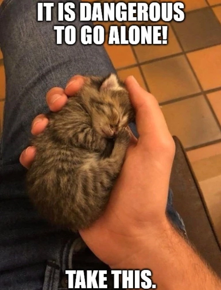 IT IS DANGEROUS TO GO ALONE! TAKE THIS.