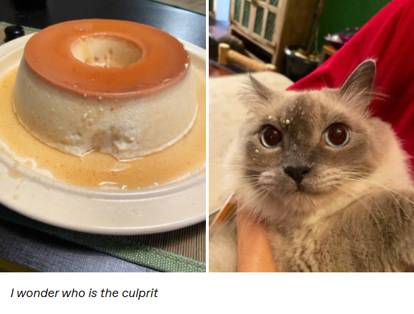 I wonder who is the culprit VE