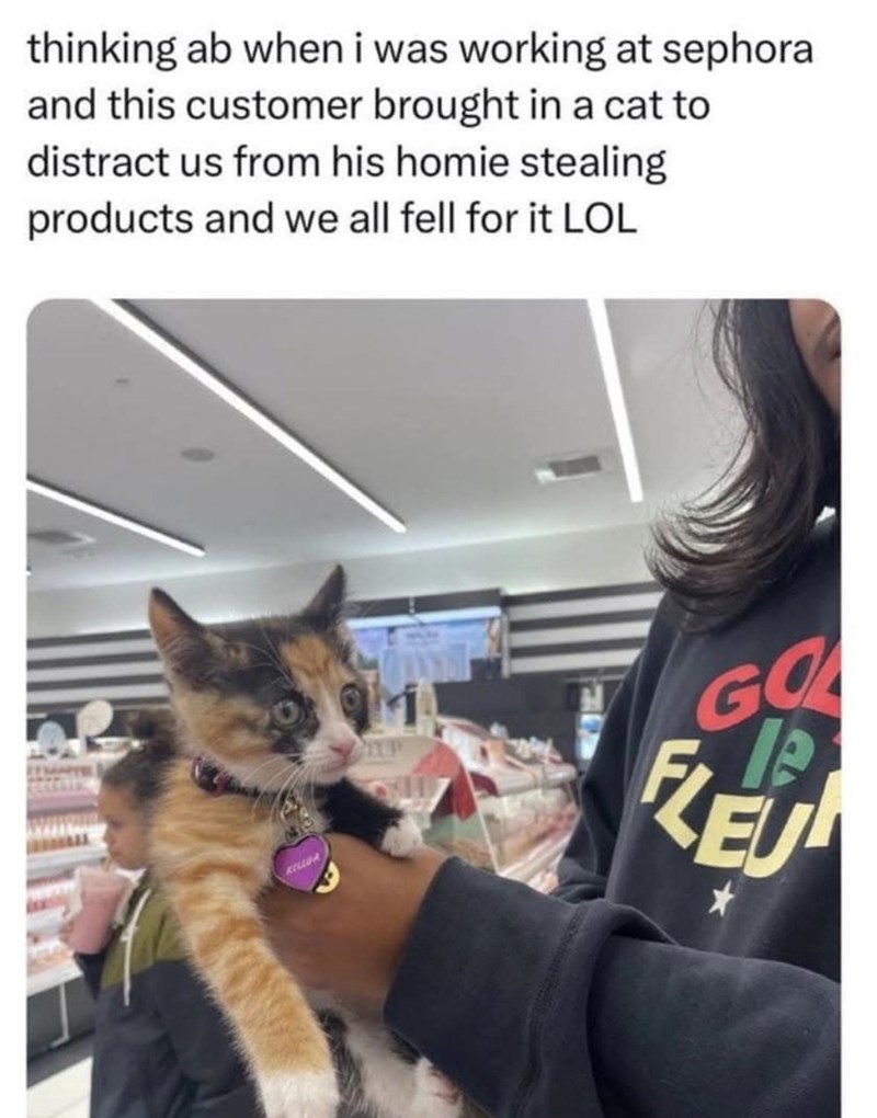 thinking ab when i was working at sephora and this customer brought in a cat to distract us from his homie stealing products and we all fell for it LOL KILLUA P GO le FLEU