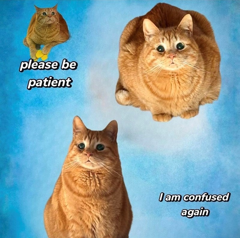 please be patient I am confused again