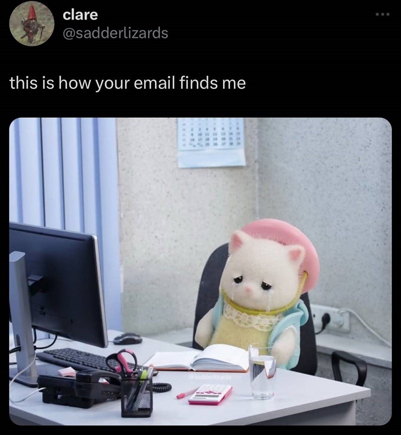 clare @sadderlizards this is how your email finds me sadderlizards