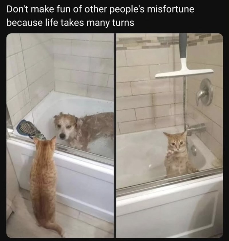 Don't make fun of other people's misfortune because life takes many turns