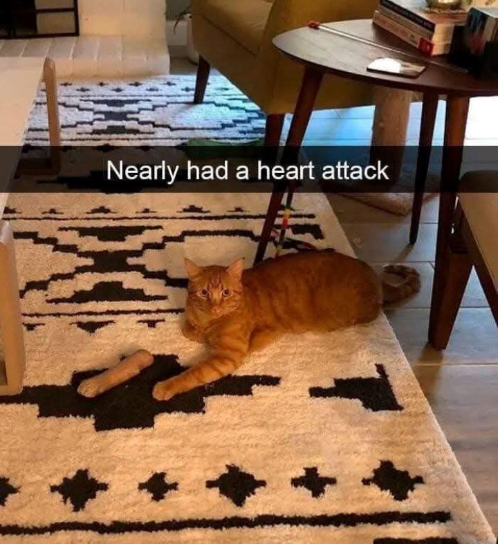 Nearly had a heart attack T