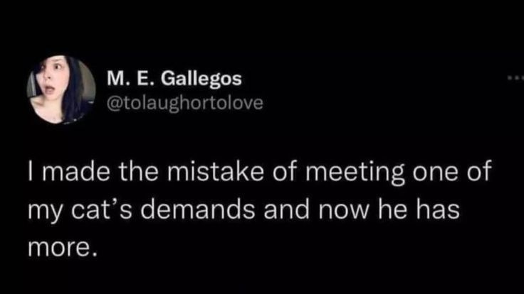 M. E. Gallegos @tolaughortolove I made the mistake of meeting one of my cat's demands and now he has more.