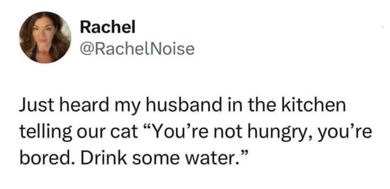 Rachel @RachelNoise Just heard my husband in the kitchen telling our cat "You're not hungry, you're bored. Drink some water."