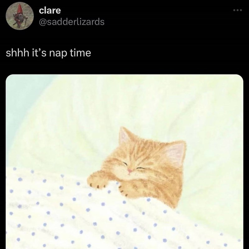 clare @sadderlizards shhh it's nap time 000