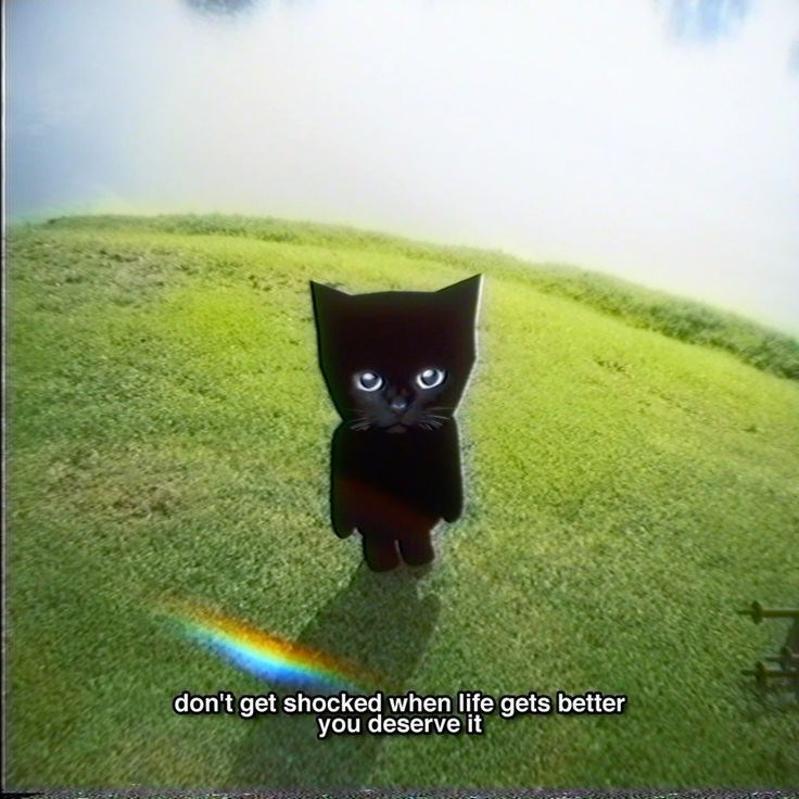 don't get shocked when life gets better you deserve it