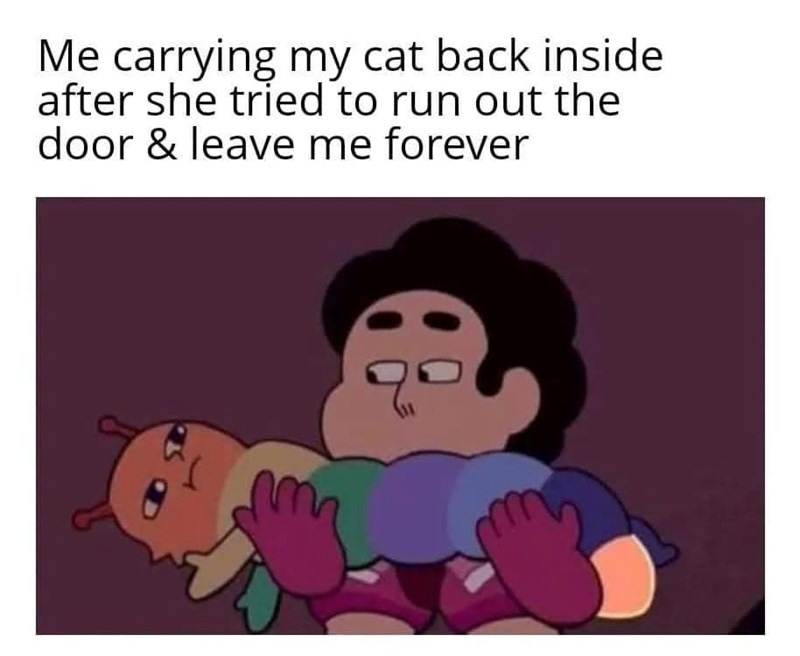 Me carrying my cat back inside after she tried to run out the door & leave me forever