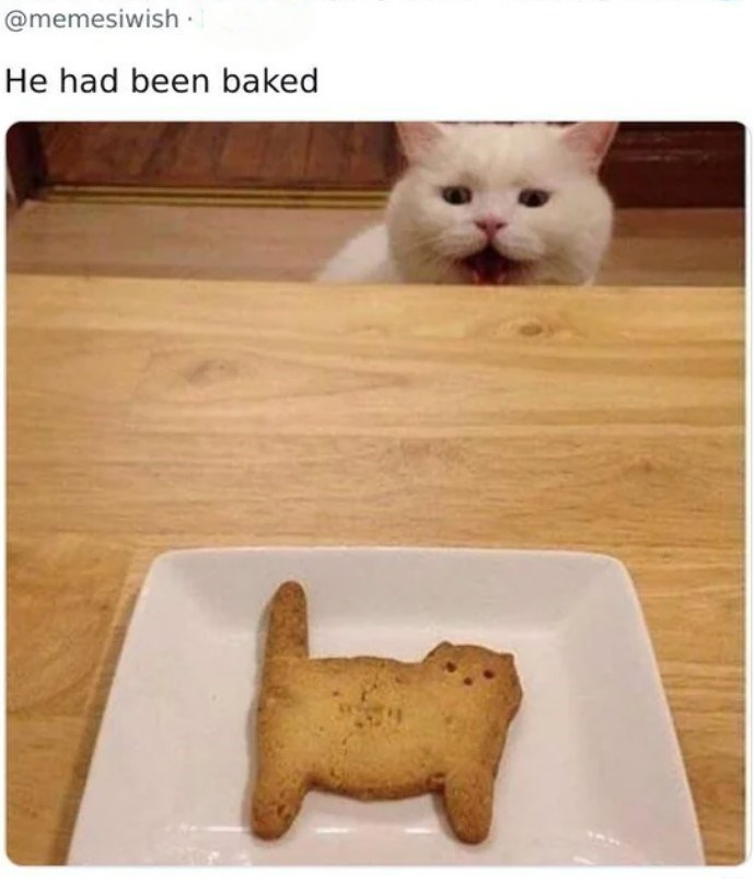 @memesiwish. He had been baked