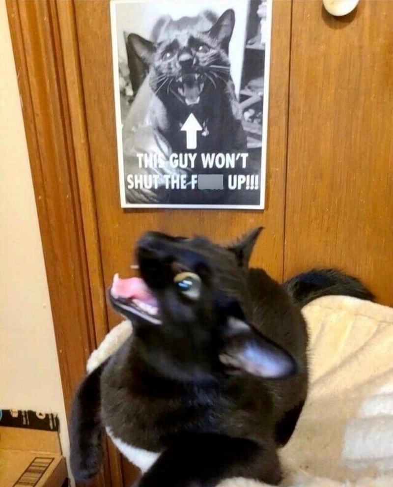 THIS GUY WON'T SHUT THE FI UP!!!