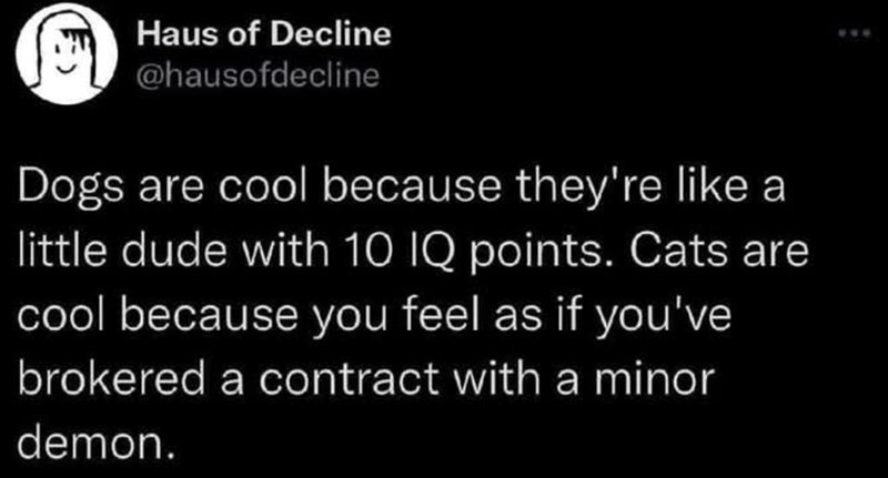 Haus of Decline @hausofdecline Dogs are cool because they're like a little dude with 10 IQ points. Cats are cool because you feel as if you've brokered a contract with a minor demon. www