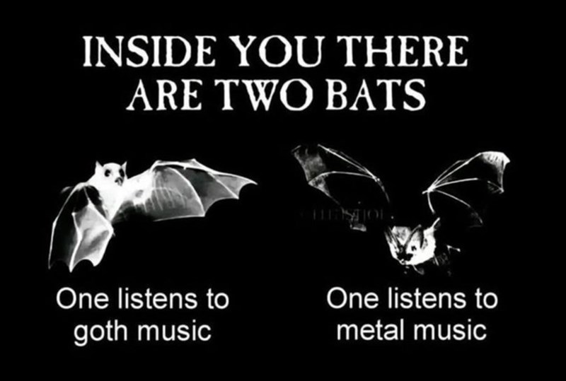 INSIDE YOU THERE ARE TWO BATS One listens to goth music THISTIOL. One listens to metal music