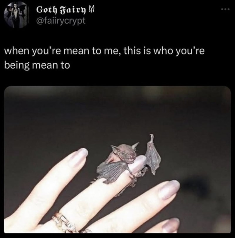 Goth Fairy M @faiirycrypt when you're mean to me, this is who you're being mean to