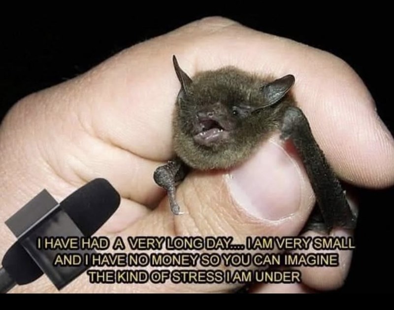 I HAVE HAD A VERY LONG DAY.... IAM VERY SMALL AND I HAVE NO MONEY SO YOU CAN IMAGINE THE KIND OF STRESSIAM UNDER