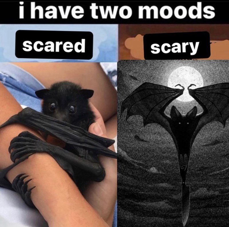 i have two moods scared scary