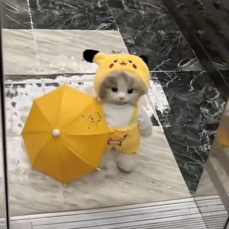 Cheezburger Image 10621531392