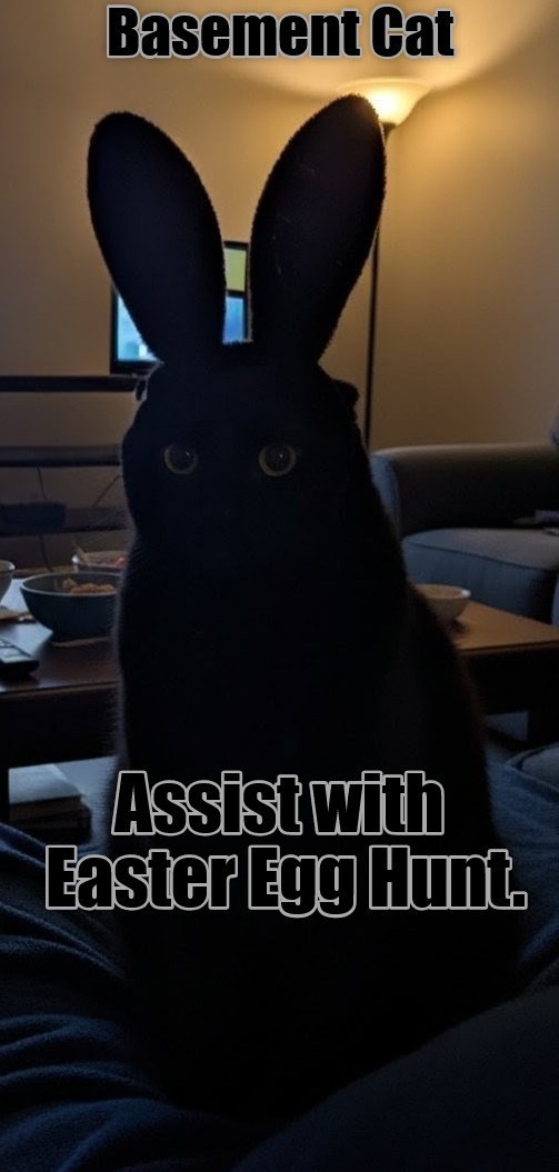 Cheezburger Image 10621538816