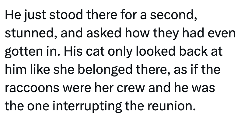 He just stood there for a second, stunned, and asked how they had even gotten in. His cat only looked back at him like she belonged there, as if the raccoons were her crew and he was the one interrupting the reunion.