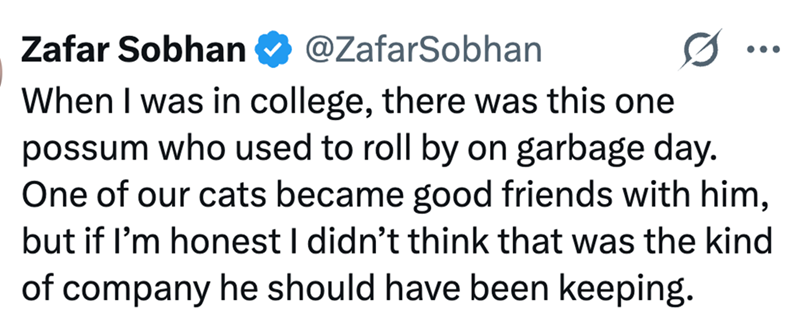 Zafar Sobhan @ZafarSobhan ... When I was in college, there was this one possum who used to roll by on garbage day. One of our cats became good friends with him, but if I'm honest I didn't think that was the kind of company he should have been keeping.