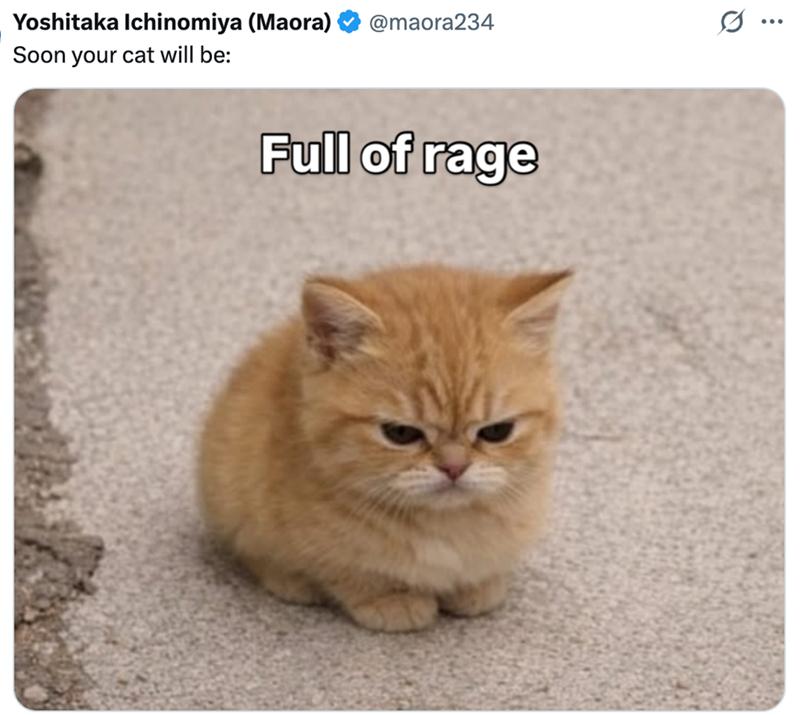 Yoshitaka Ichinomiya (Maora) @maora234 Soon your cat will be: Full of rage ...