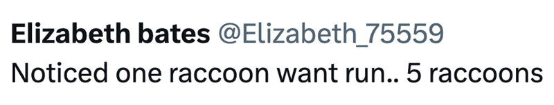 Elizabeth bates @Elizabeth 75559 Noticed one raccoon want run.. 5 raccoons