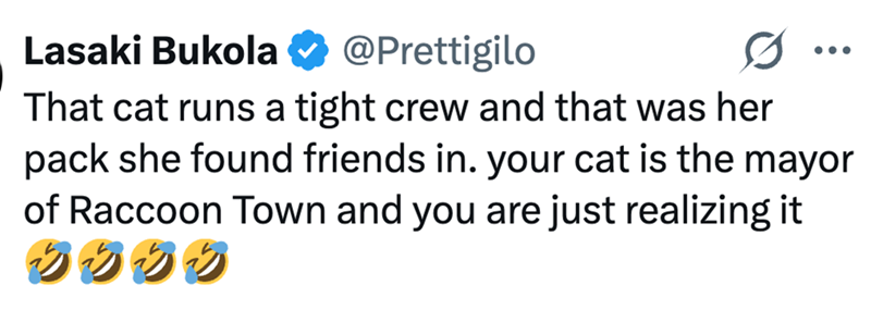 Lasaki Bukola @Prettigilo That cat runs a tight crew and that was her pack she found friends in. your cat is the mayor of Raccoon Town and you are just realizing it