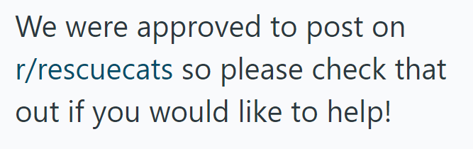 We were approved to post on r/rescuecats so please check that out if you would like to help!